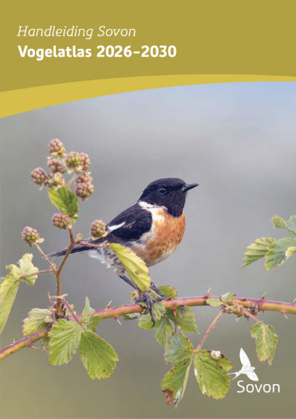 Handleiding Sovon Vogelatlas 2026-2030